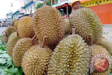 KAI sediakan 350 durian gratis di Stasiun Madiun