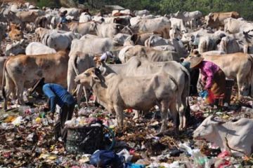 MENGAIS SAMPAH