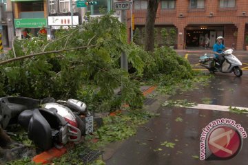 Topan tutup tempat usaha, paksa pembatalan penerbangan di Taiwan