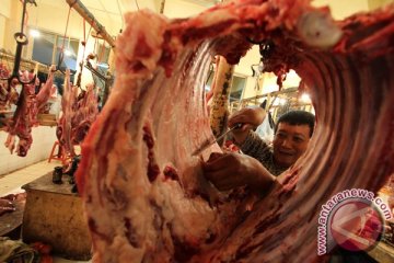 Jakarta gelar operasi pasar daging sapi