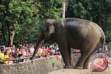 Ragunan tampung 85.000 pengunjung