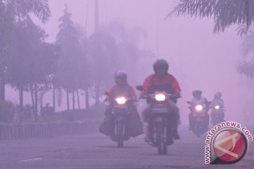 Kabut asap sedang selimuti Dumai