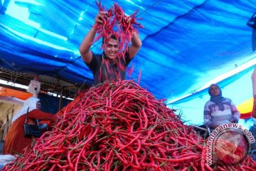 Harga cabe merah keriting naik 