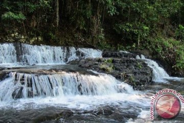 Enam fosil di Geopark Merangin Jambi hilang