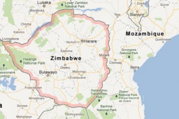 Sedikitnya 190 gajah mati karena kekurangan air di Zimbabwe