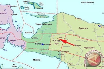 PPI Belanda tawarkan solusi Papua