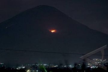 KEBAKARAN GUNUNG SINDORO