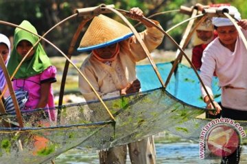 "Banyumasan" terancam punah