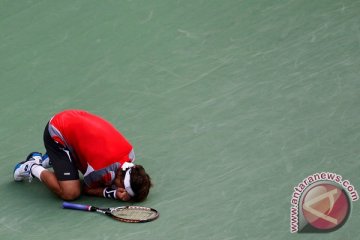 David Ferrer tumbang