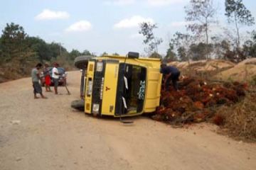 Truk Sawit Terbalik