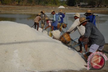 Pemerintah hentikan impor garam lindungi petani