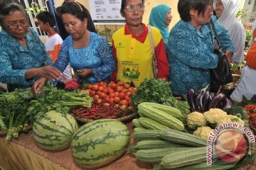 Warga Cinyurup "menyulap" pekarangan jadi kebun sayuran