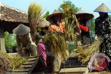 Cadangan beras 100 ton disiapkan untuk persiapan bantuan bencana di Lebak