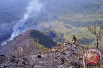 Hutan Taman Nasional Gunung Rinjani terbakar