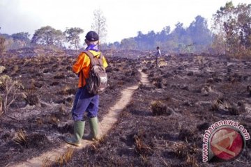 Menjaga hutan Gunung Rinjani dari amukan api