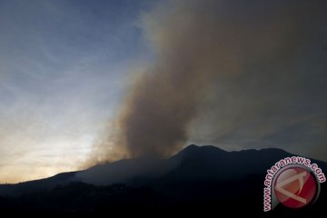 Api unggun diduga picu kebakaran Gunung Lawu