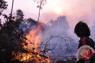 Warga sampit mulai gunakan masker hindari asap