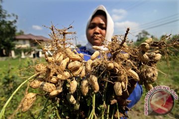 Harga jual turun