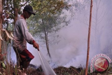 Asap ganggu kenyamanan warga Palangka Raya