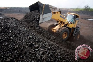 Puluhan perusahaan batubara di Jambi menghentikan operasi