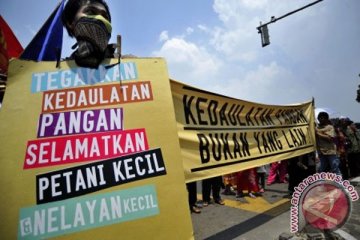 Mayoritas pasar benih Indonesia dikuasai asing