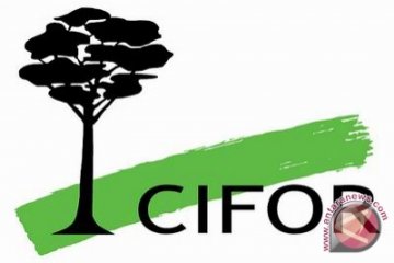 CIFOR: Perkiraan lahan terbakar 2019 mencapai 1,64 juta ha