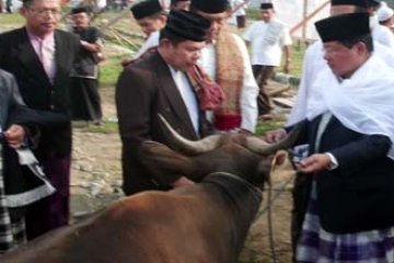 SAPI KURBAN
