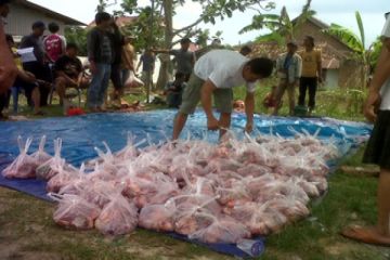 Bagikan Daging Kurban