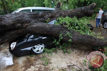 19 orang tewas, 13 hilang akibat banjir di Vietnam