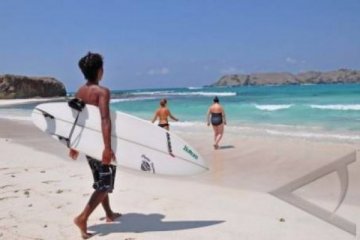 WISATA SURFING