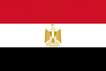6 tewas dalam kerusuhan Port Said Mesir hari kedua