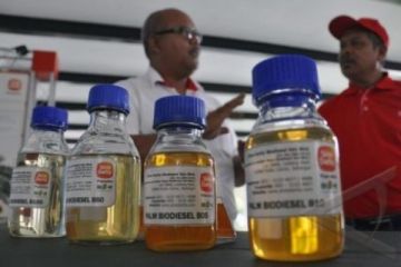 PALM BIODIESEL