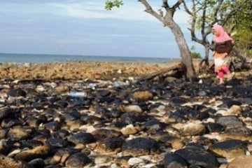 1.264 karung limbah kembali dikumpulkan dari pantai Batam