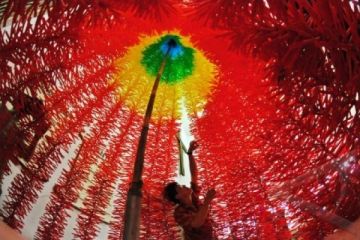 POHON NATAL SEDOTAN