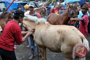 Kementan harap resistensi antibiotik masuk kurikulum FKH