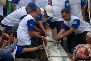40.000 benih ikan ditebar di Kali Surabaya 
