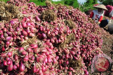 Harga bawang putih dan bawang merah meroket