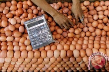 Mendag : harga telur naik karena pakan ayam mahal