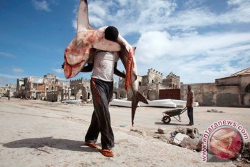 PBB peringatkan soal kerawanan pangan di Somalia