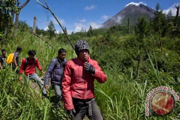 SAR evakuasi dua pendaki Merapi tersesat 