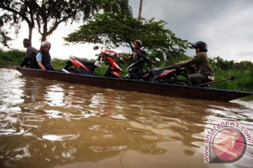Puluhan hektare sawah di Lebak tergenang banjir 