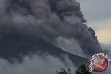 Flores diselimuti abu vulkanik Gunung Rokatenda