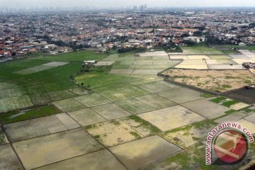 Tangerang tetapkan lahan sekitar bandara hanya pemukiman