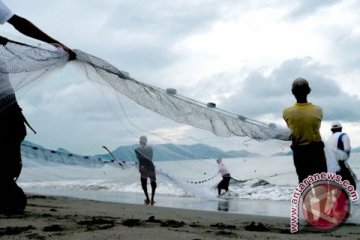 Laut mengganas picu kenaikan harga 100 persen ikan