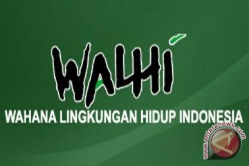 Walhi Sumsel pertanyakan pelaksanaan penanggulangan karhutla