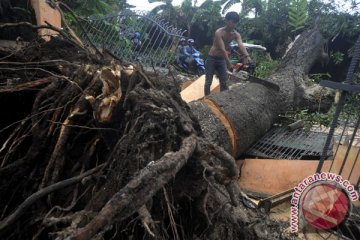 Angin kencang robohkan dua rumah warga Pacitan 