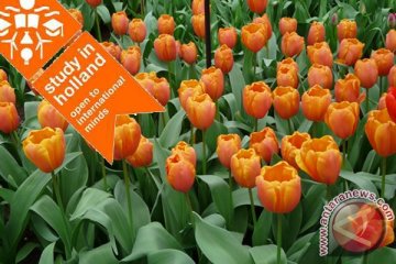 Orange Tulip tawarkan beasiswa ke Belanda