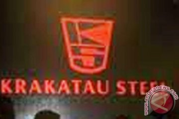 RUPST Krakatau Steel angkat komisaris utama baru