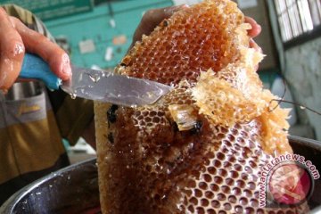 "Kedai Lebah" suguhkan masakan seba madu