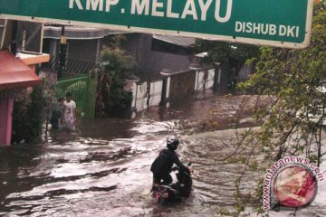 Pusat harus pimpin langsung upaya atasi banjir Jakarta